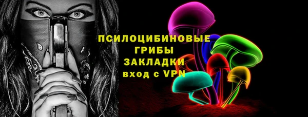 ECSTASY Инта