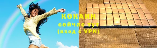 Альфа ПВП Инсар