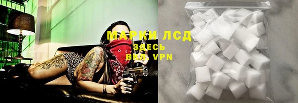 ECSTASY Инта