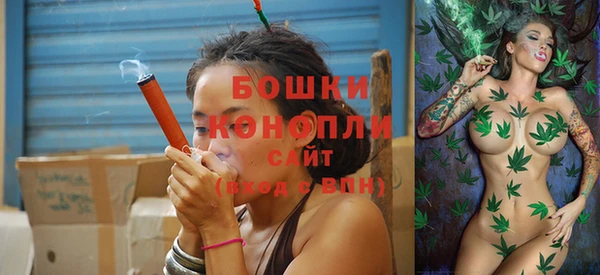 Альфа ПВП Инсар