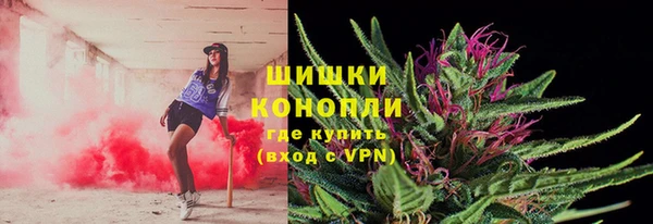 ECSTASY Инта