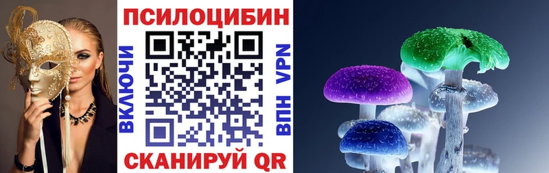 Псилоцибиновые грибы GOLDEN TEACHER  Купить где  Томмот 